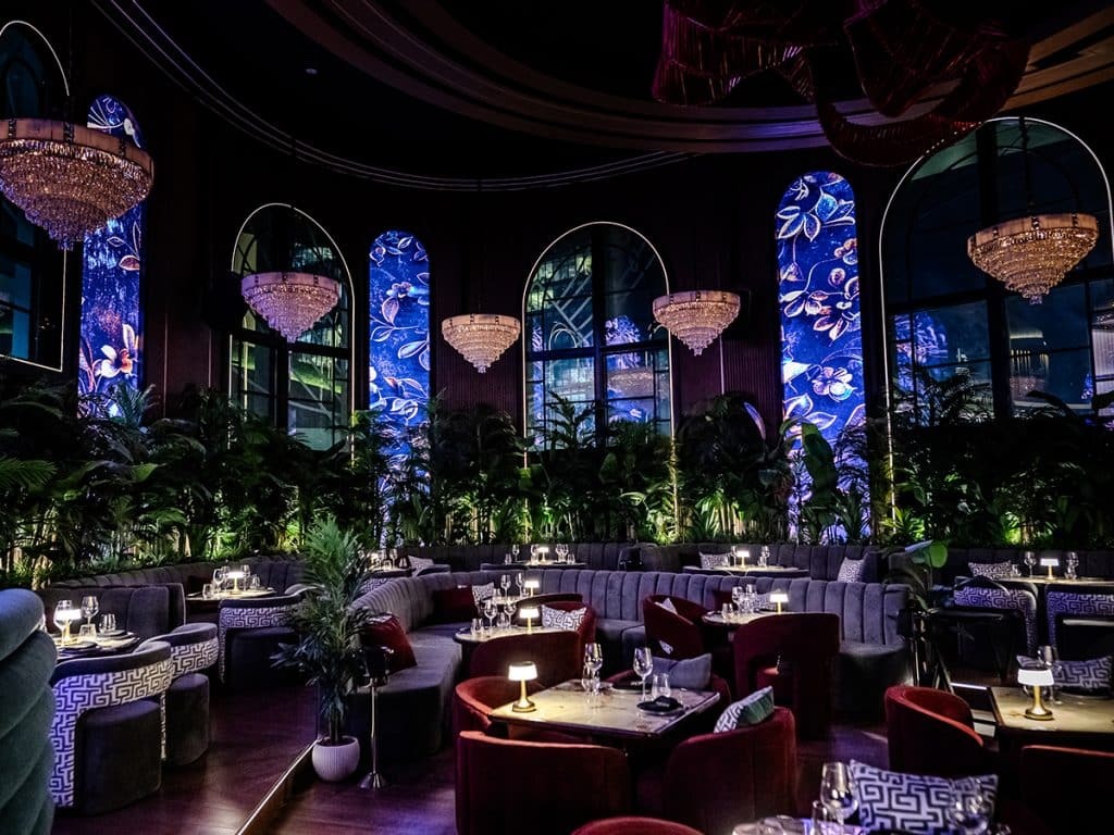 Business Networking Cocktail